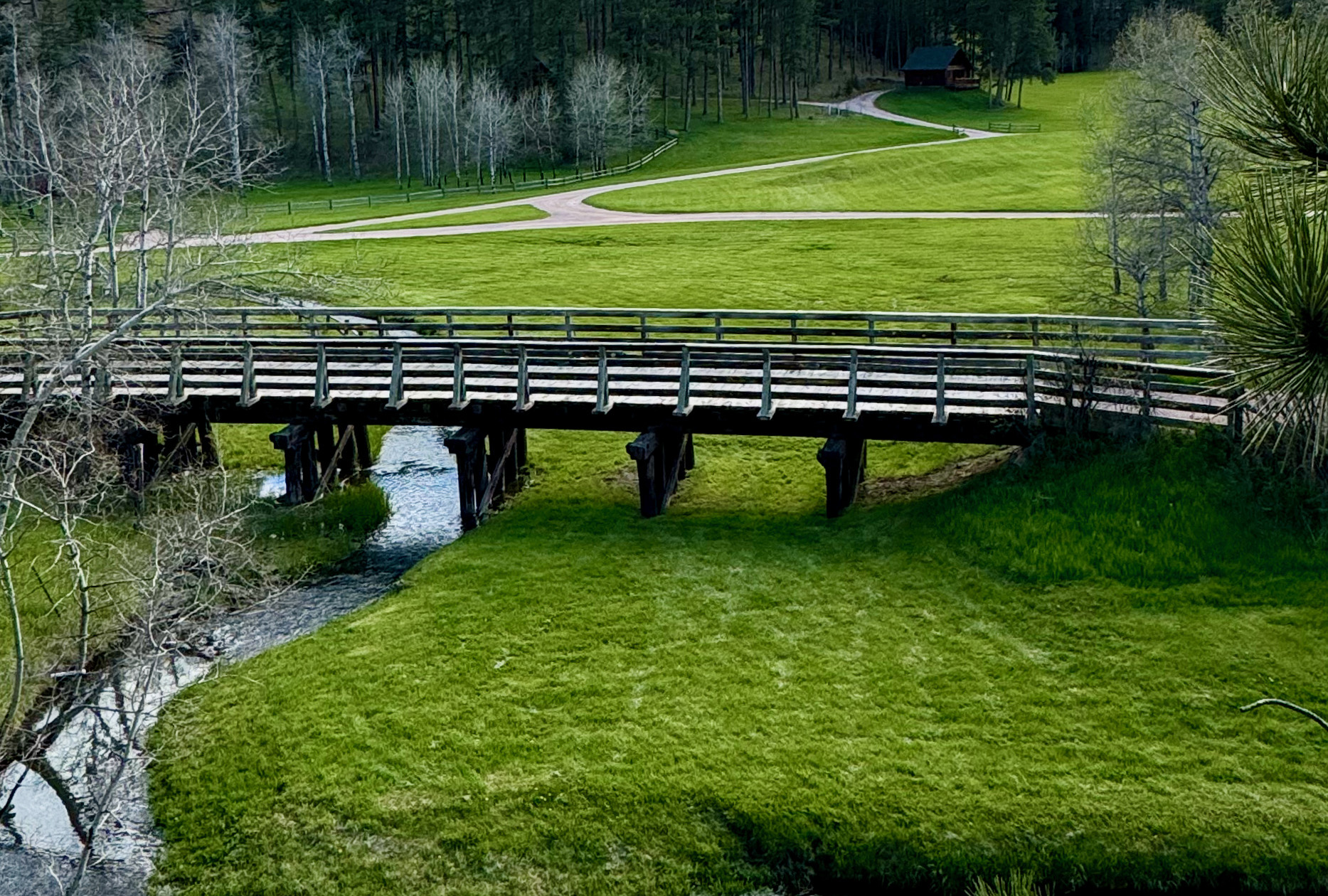 About the Ranch