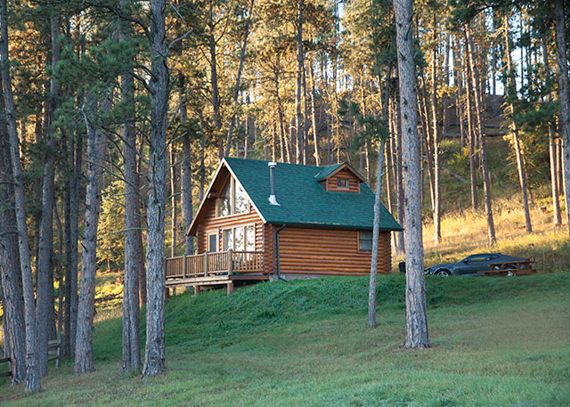 Forest Haven