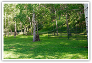 Guests traveling with horses to Newton Fork Ranch